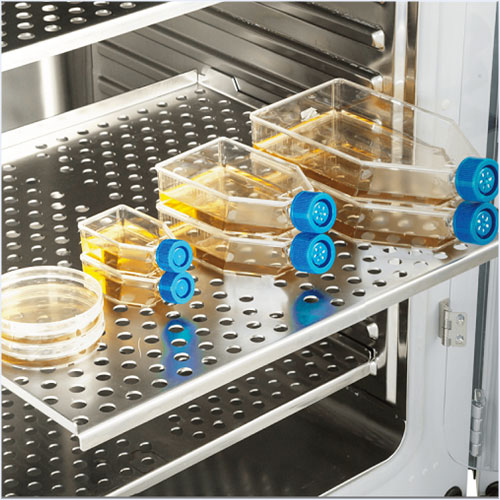 Incubadora de CO2 - Haier Biomedical - Image 3
